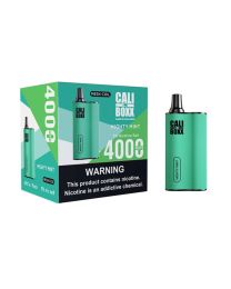 Cali Pods Boxx Disposable - Mighty Mint